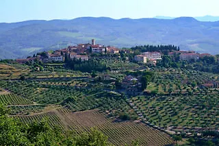 Cdh Radda Siena